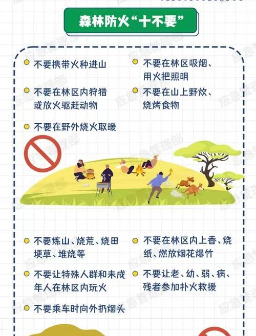 森林守护床的放置位置有何讲究？如何正确使用？