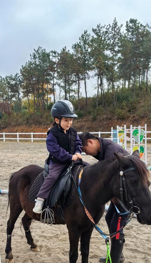 征途中如何骑马？骑马有什么技巧和注意事项？