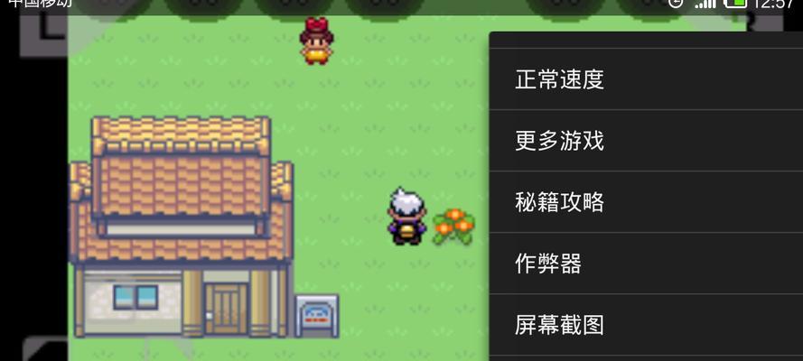 夜晚如何使用口袋妖怪模拟器？需要调整哪些设置？