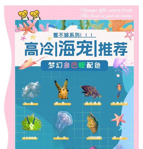 口袋妖怪如何前往海底世界？海底世界有哪些特色？