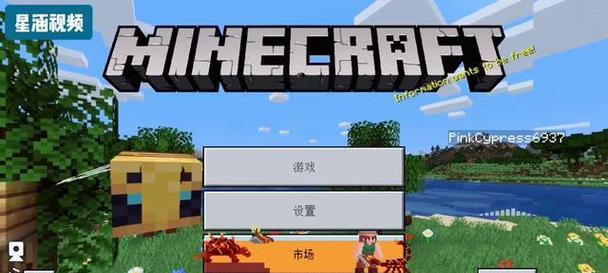 如何找到我的世界服务器的IP地址？