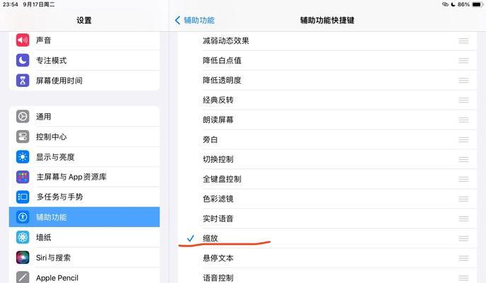 苹果平板设置疯狂联盟的操作步骤是什么？