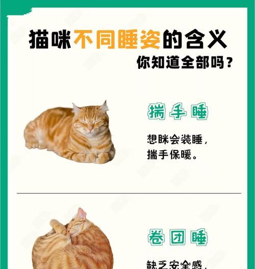 猫的睡觉动作如何触发？