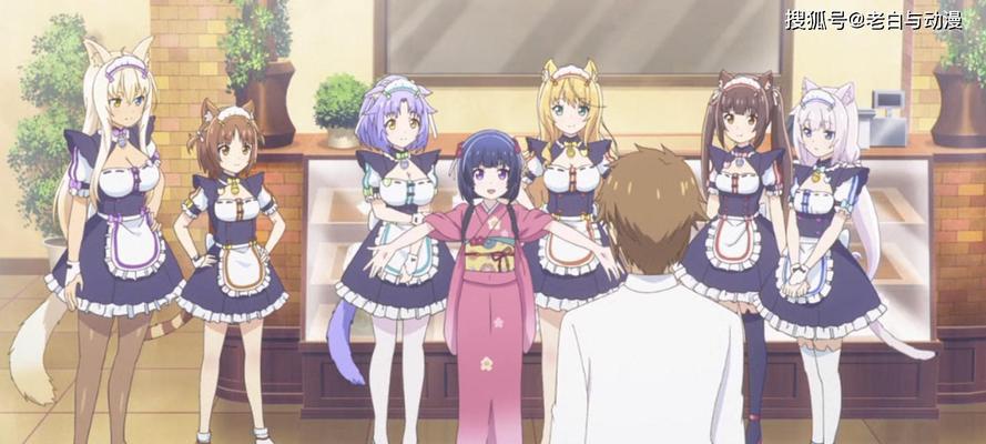 阴阳师猫娘狗粮如何玩？猫娘狗粮的玩法是什么？
