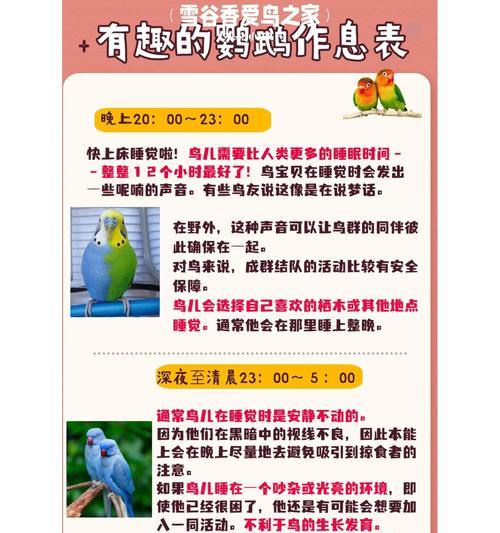 养鸟过程中需要注意什么？